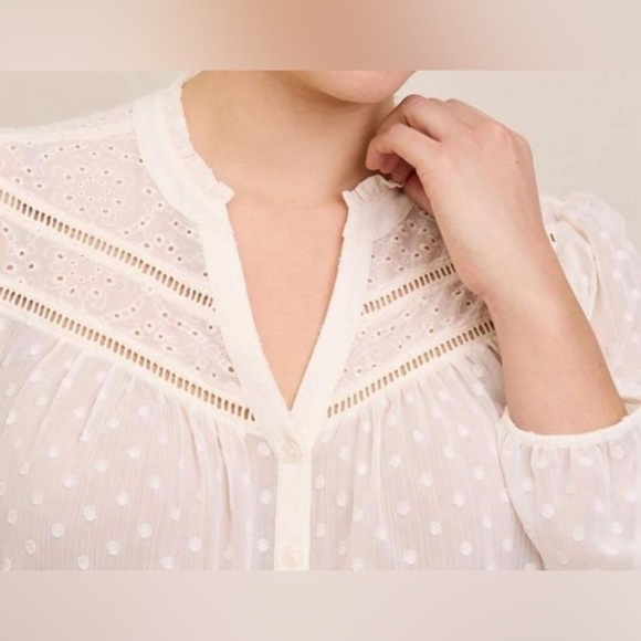 NWT Torrid Women's Plus Size Chiffon Clip Dot Eyelet Top, Size 5 - Picture 2 of 7